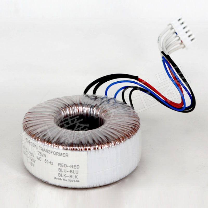 Toroidal Transformer